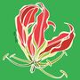 Flame Lily Print On Green, thumbnail 6 of 6