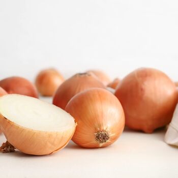 Onion Plants, 'Japanese' Yellow, 18x Full Plant Pack, 4 of 5