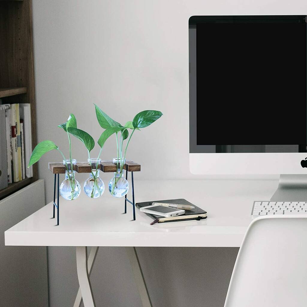 Desktop Plant Terrarium With Wooden Stand By Air Armor