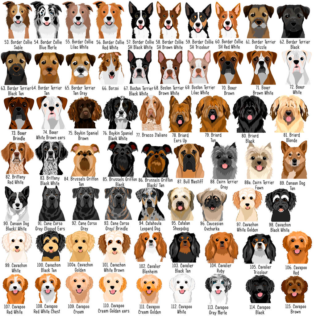 Dog species name and pictures hotsell