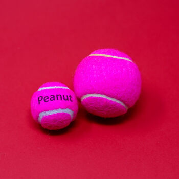 Personalised Tiny Dog Tennis Balls With Matching Bag, 8 of 11