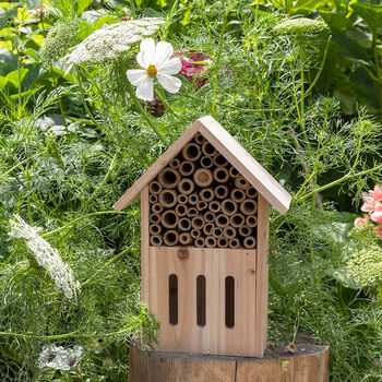 Butterfly And Bee Hotel, 2 of 5