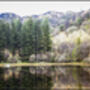 Yew Tree Tarn, The Lake District, thumbnail 2 of 11