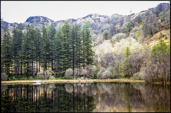 Yew Tree Tarn, The Lake District, 2 of 11
