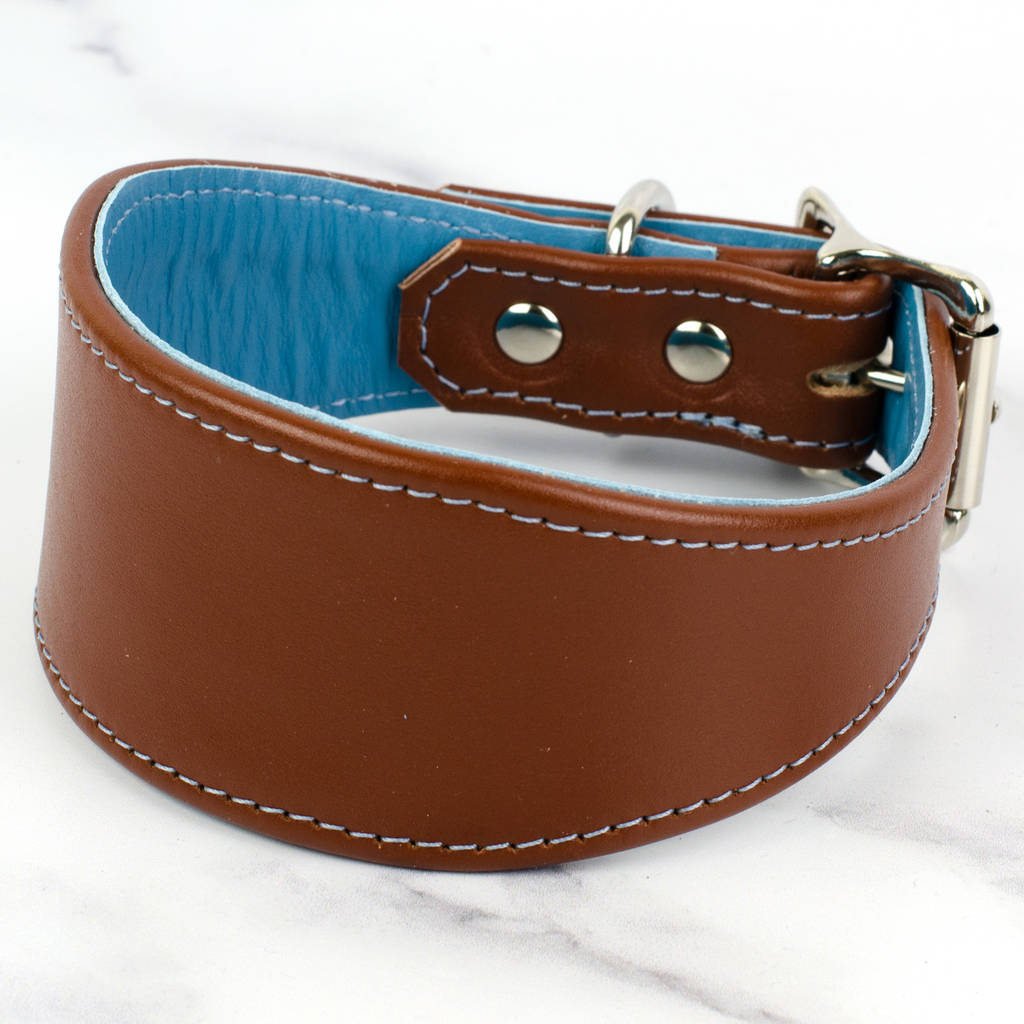 Two Tone Bespoke Leather Greyhound Collar By Petiquette Collars