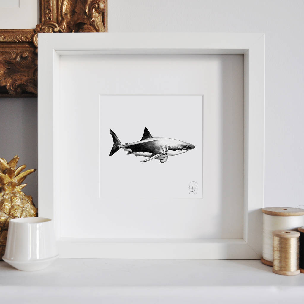 Framed Great White Shark Print By Lale Guralp | notonthehighstreet.com