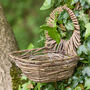 Natural Wicker Bird Nester, thumbnail 4 of 4