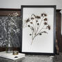 Original Pressed Flower Frame – A3 Echo Bloom Botanical Wall Art, thumbnail 1 of 7