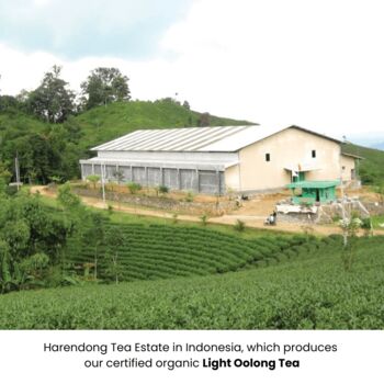 Artisan Tea Explorer Collection, 10 of 11