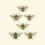 'British Bees' Fine Art Print Colour, thumbnail 3 of 8