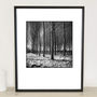 Trees, Beccles, Suffolk Photographic Art Print, thumbnail 1 of 4
