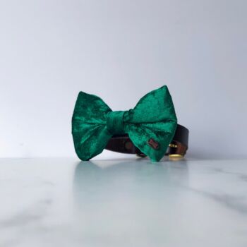 Party Luxe Velvet Dog Bow Ties, 6 of 12