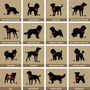 Pet Memorial 'Personalised Dog Or Cat Print', thumbnail 10 of 12