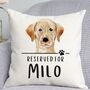 Reserved For Cream Labrador Cushion, thumbnail 1 of 2