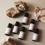 Set Of Three Travel Inspired Diffuser Fragrance Oils, thumbnail 2 of 2