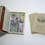 Bee Herbal Garden Seed Multi Pack Collection, thumbnail 7 of 8