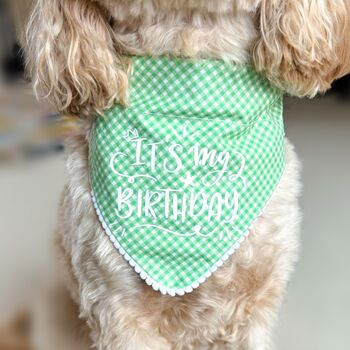 Gingham Birthday Dog Bandana, 2 of 8