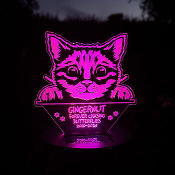 Pet Cat Memorial Colour Changing Solar Garden Light, 5 of 7