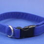 Bright Blue Dog Collar, thumbnail 7 of 12