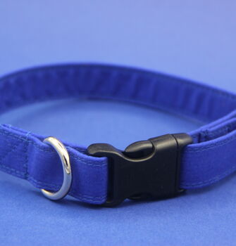 Bright Blue Dog Collar, 7 of 12