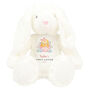 First Easter Soft Toy, thumbnail 3 of 10