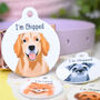 Dog Breed ID Tag Personalised Realistic Illustrations, thumbnail 12 of 12