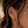 Guiding North Star Birthstone Gold Plated Hoop Earrings Emerald, Sapphire Or Rhodolite, thumbnail 6 of 11