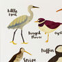 'British Seabirds' Illustrated Print, thumbnail 4 of 7