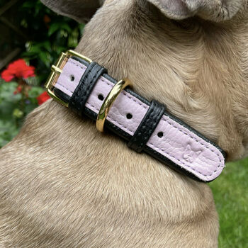 Handmade Italian Leather Padded Lilac Dog Puppy Collar, 2 of 7