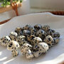 Tiny Polished Dalmatian Jasper Mushroom Crystal, thumbnail 4 of 6