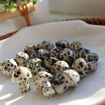 Tiny Polished Dalmatian Jasper Mushroom Crystal, 4 of 6