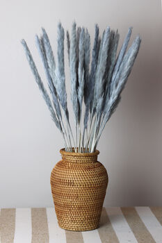 Grey Feather Pampas Grass Stems, 2 of 2