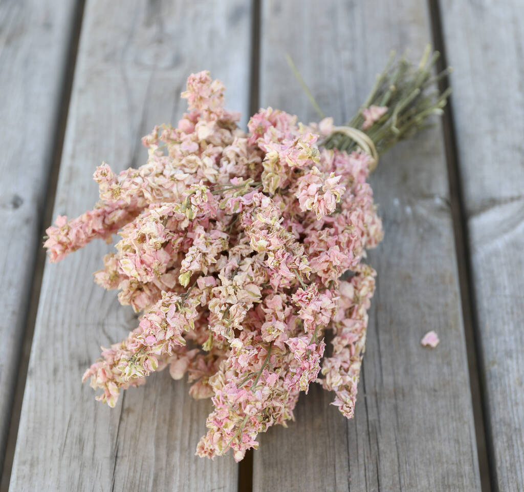 Candy Floss Pink Dried Flower Delphinium Bunch, 1 of 2