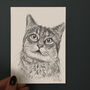 Sketch Of Your Pet, thumbnail 1 of 5