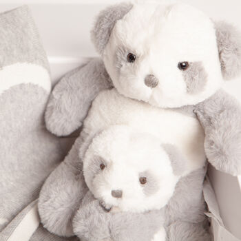 Panda Toy, Blanket And Comforter Baby Gift Set, 4 of 4