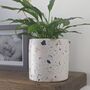 Handmade Blue And Nudes Terrazzo Pot, thumbnail 2 of 2