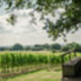 Tour, Tasting And Lunch Experience At A Kent Vineyard For Two, thumbnail 8 of 12