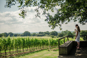 Tour, Tasting And Lunch Experience At A Kent Vineyard For Two, 8 of 12