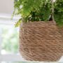 Seagrass Woven Hanging Planter, thumbnail 2 of 3