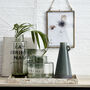 Hedria Woodrose Pink Column Vase, thumbnail 4 of 6