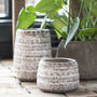 Cream Faceted Plant Pot, thumbnail 1 of 2
