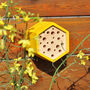 Father's Day Bee House Gift Set, thumbnail 4 of 6