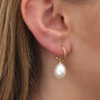 Sterling Silver Or Gold Plated Large Pearl Earrings, thumbnail 2 of 6