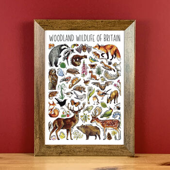 Woodland Wildlife Of Britain Greeting Card, 4 of 8