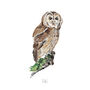 Personalised Owl Watercolour Art Print, thumbnail 2 of 5