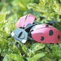 Build Your Own Personalised Ladybird, thumbnail 10 of 12