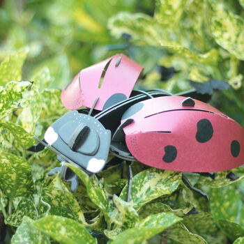 Build Your Own Personalised Ladybird, 10 of 12