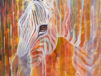 Zebra Queen, 6 of 11