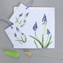 Card With Grape Hyacinth Illustration, thumbnail 2 of 2