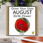 Unusual Birthday Gardening Gift. August Birth Flower, thumbnail 1 of 6